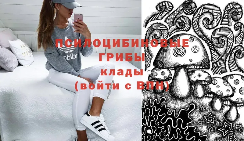 что такое наркотик  Пучеж  мега ССЫЛКА  Галлюциногенные грибы Psilocybine cubensis 