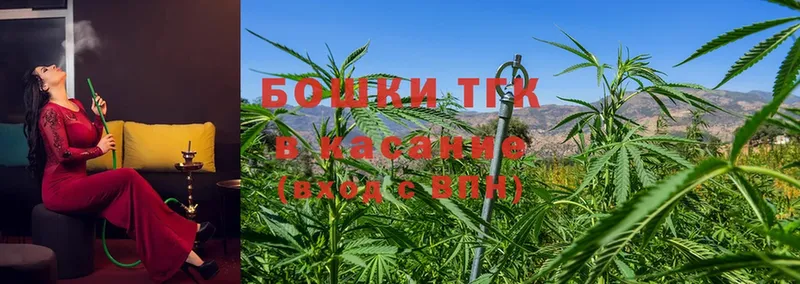 Конопля White Widow  omg tor  Пучеж  где найти наркотики 